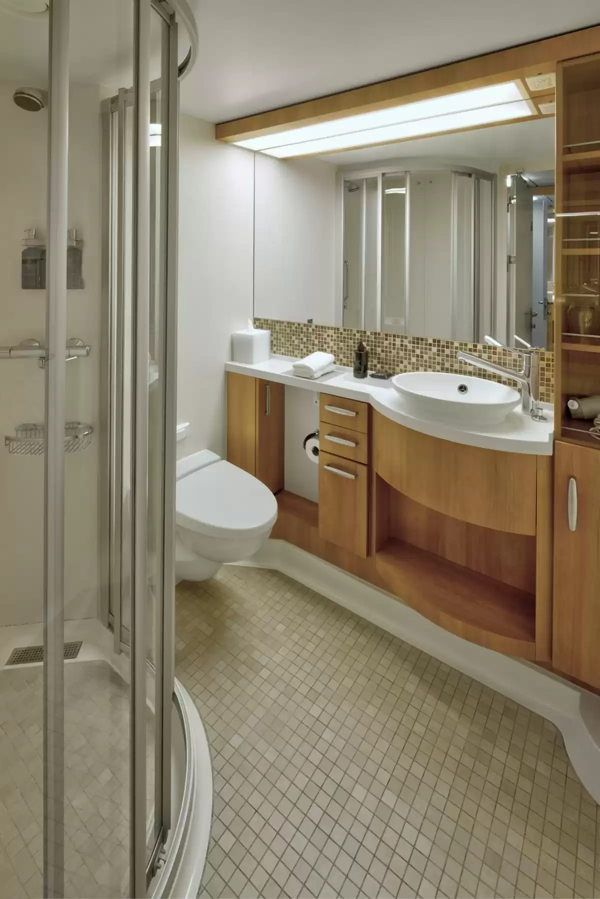 el Celebrity Silhouette :   1
