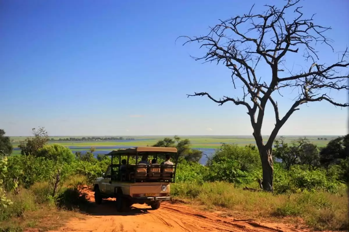 el Zimbabwean Dream :  cabine 2