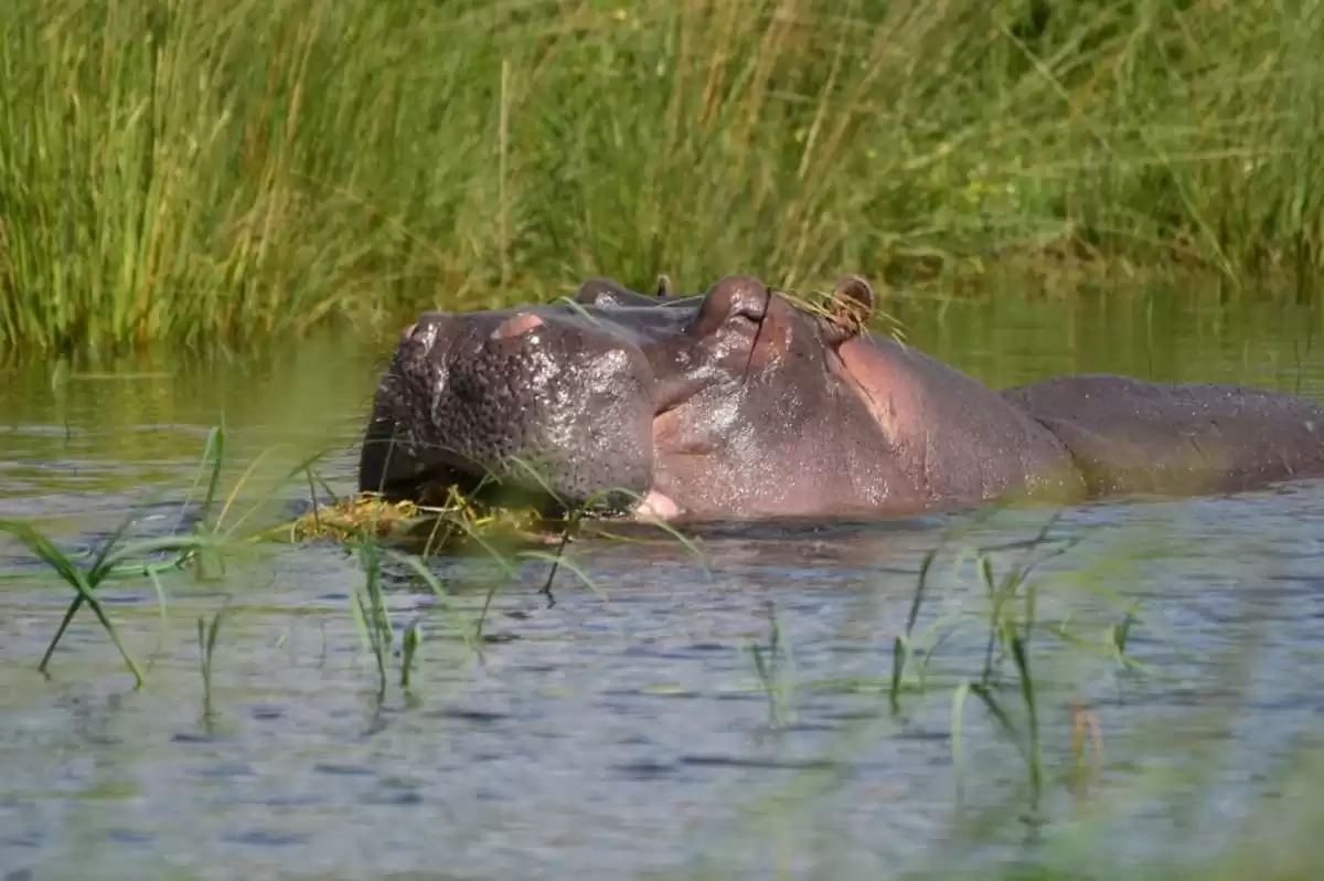 el Zimbabwean Dream :  cabine 3