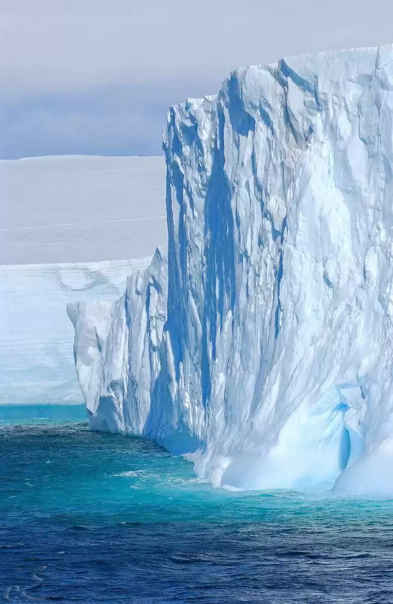 el MS Roald Amundsen :  cabine 1