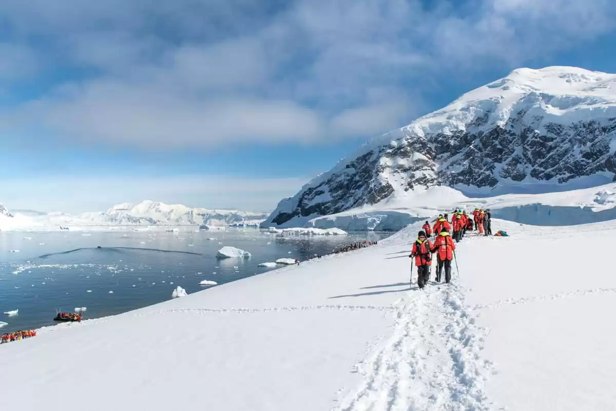 el MS Roald Amundsen :  cabine 14