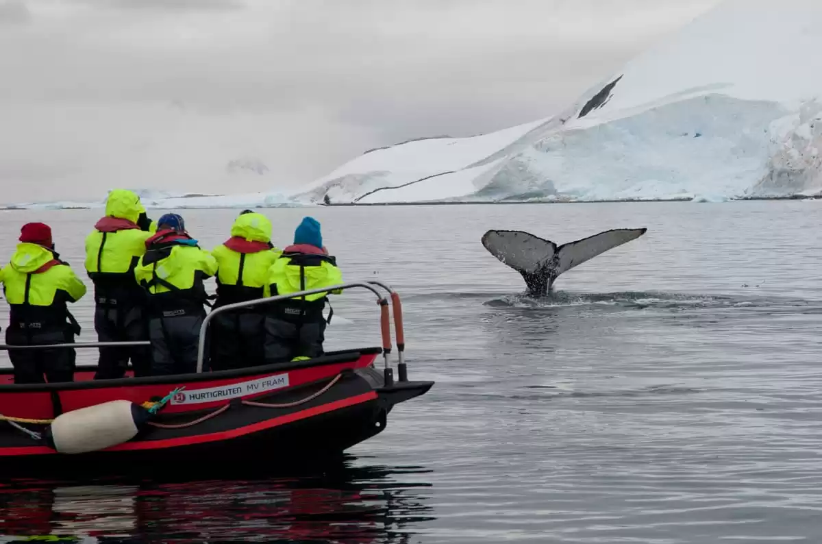 el MS Roald Amundsen :  cabine 16