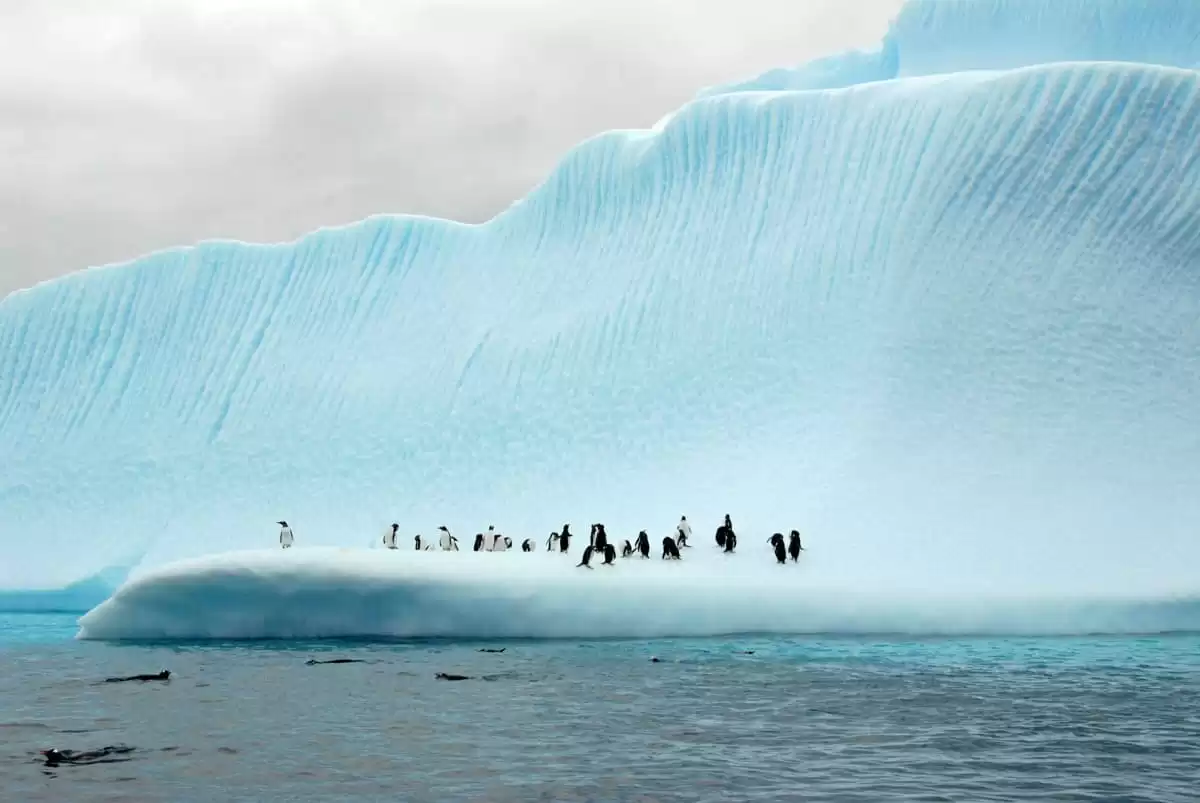 el MS Spitsbergen :  cabine 5