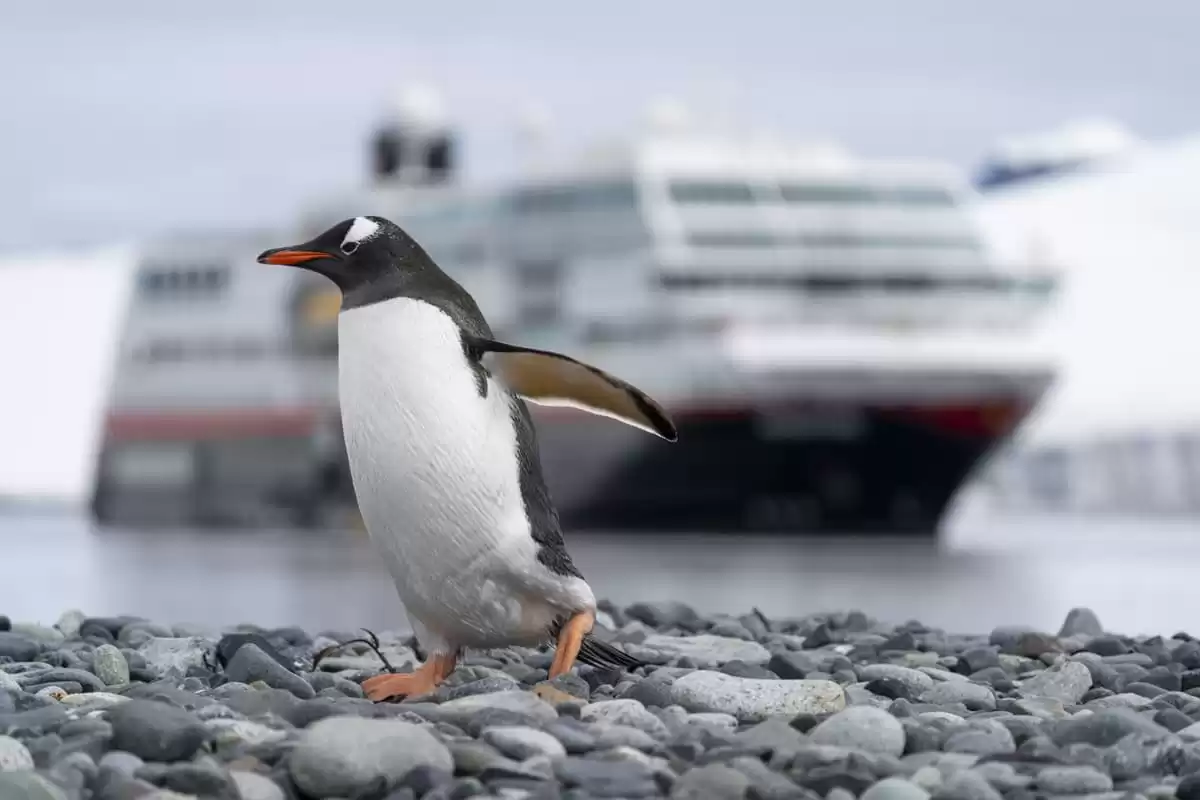 el MS Spitsbergen :  cabine 25
