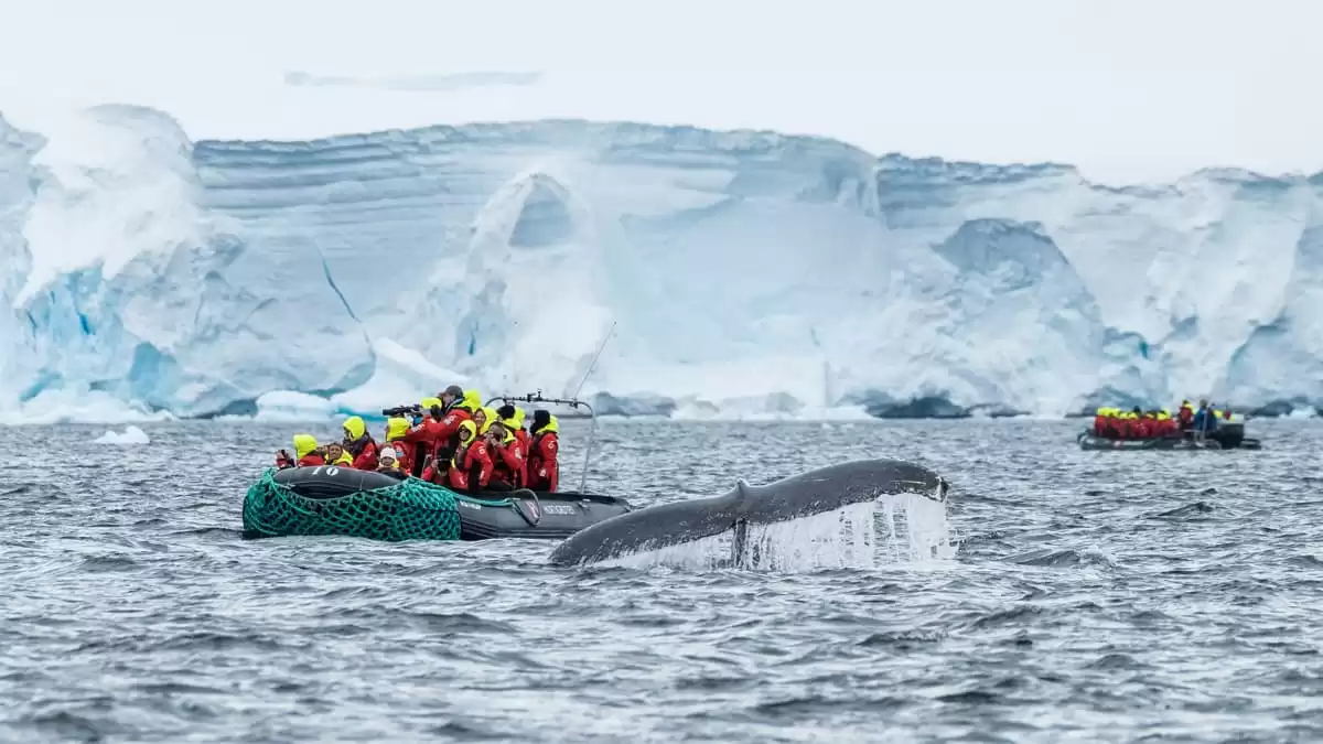 el MS Spitsbergen :  cabine 32