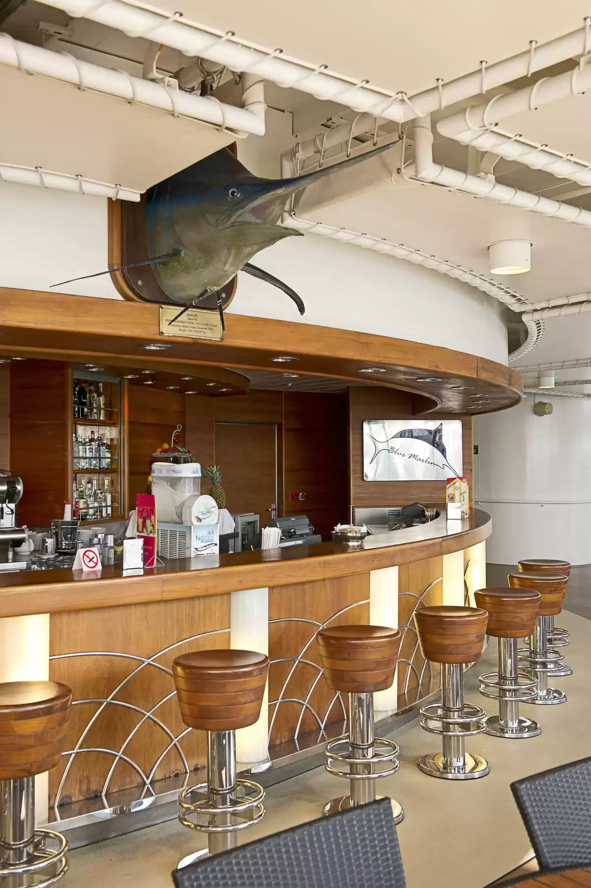 el MSC Musica :  cabine 41