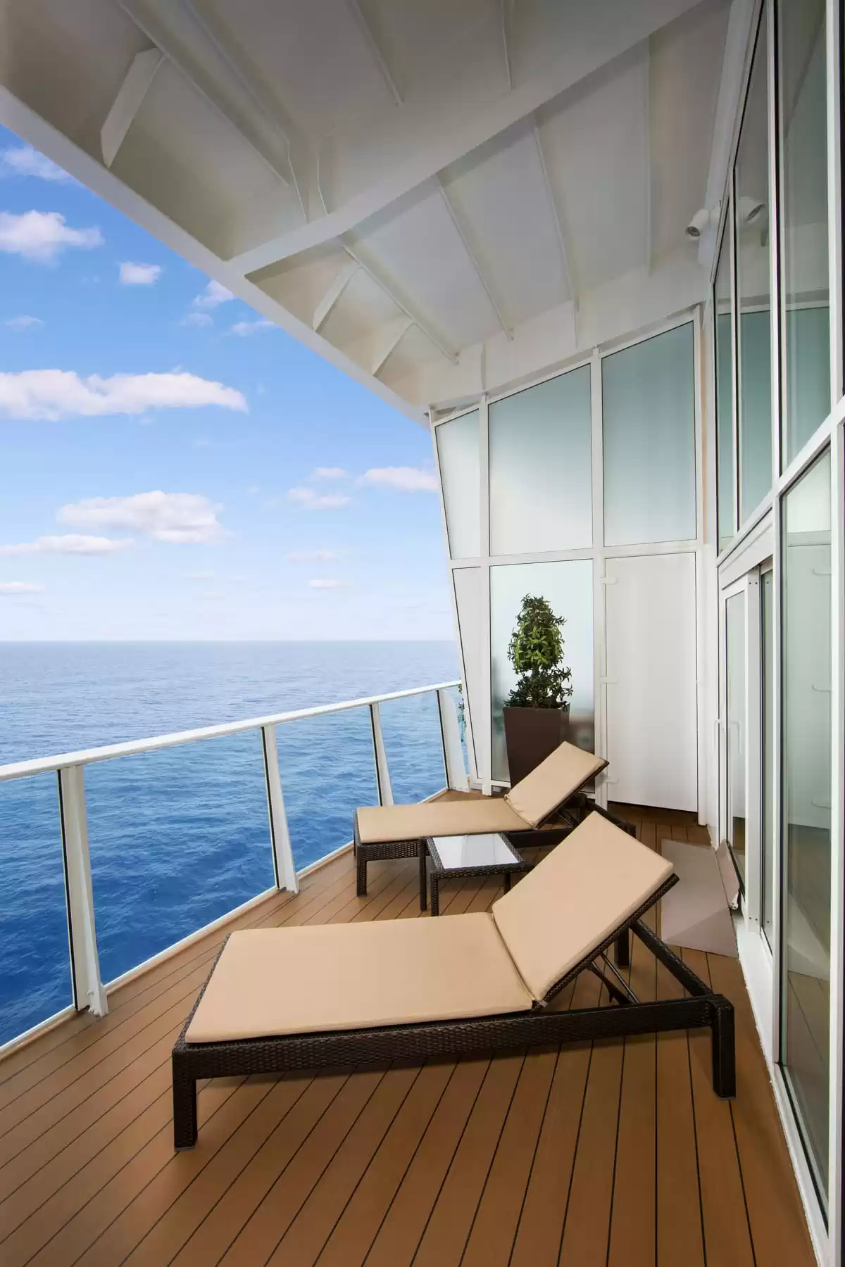 el Oasis of the Seas :   8