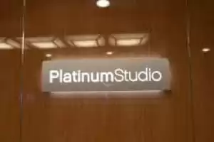 Platinum Studio
