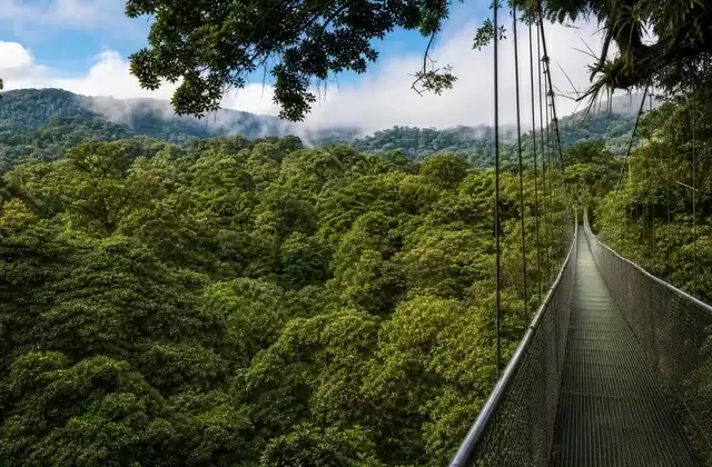En los puentes suspendidos