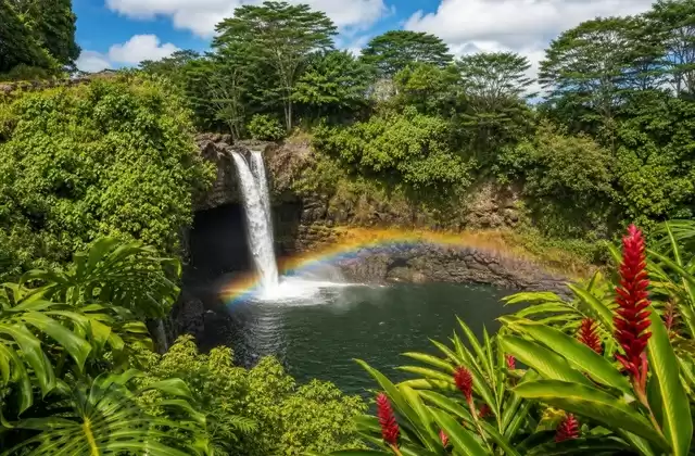Hilo