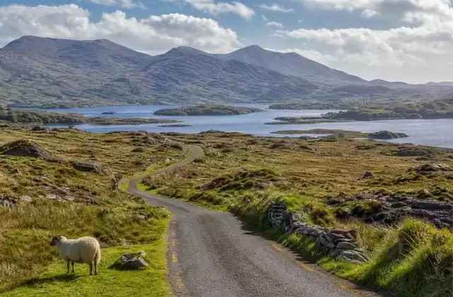 Connemara