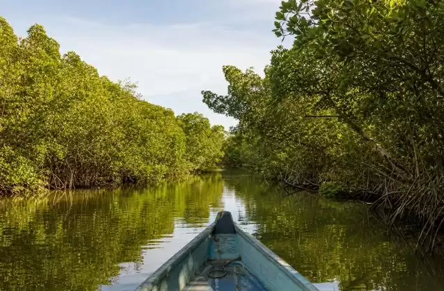 Delta del Sine-Saloum